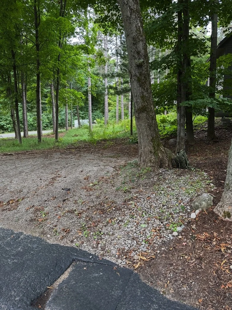 The parking-area maple required a practical decision about both tree preservation and vehicle access.