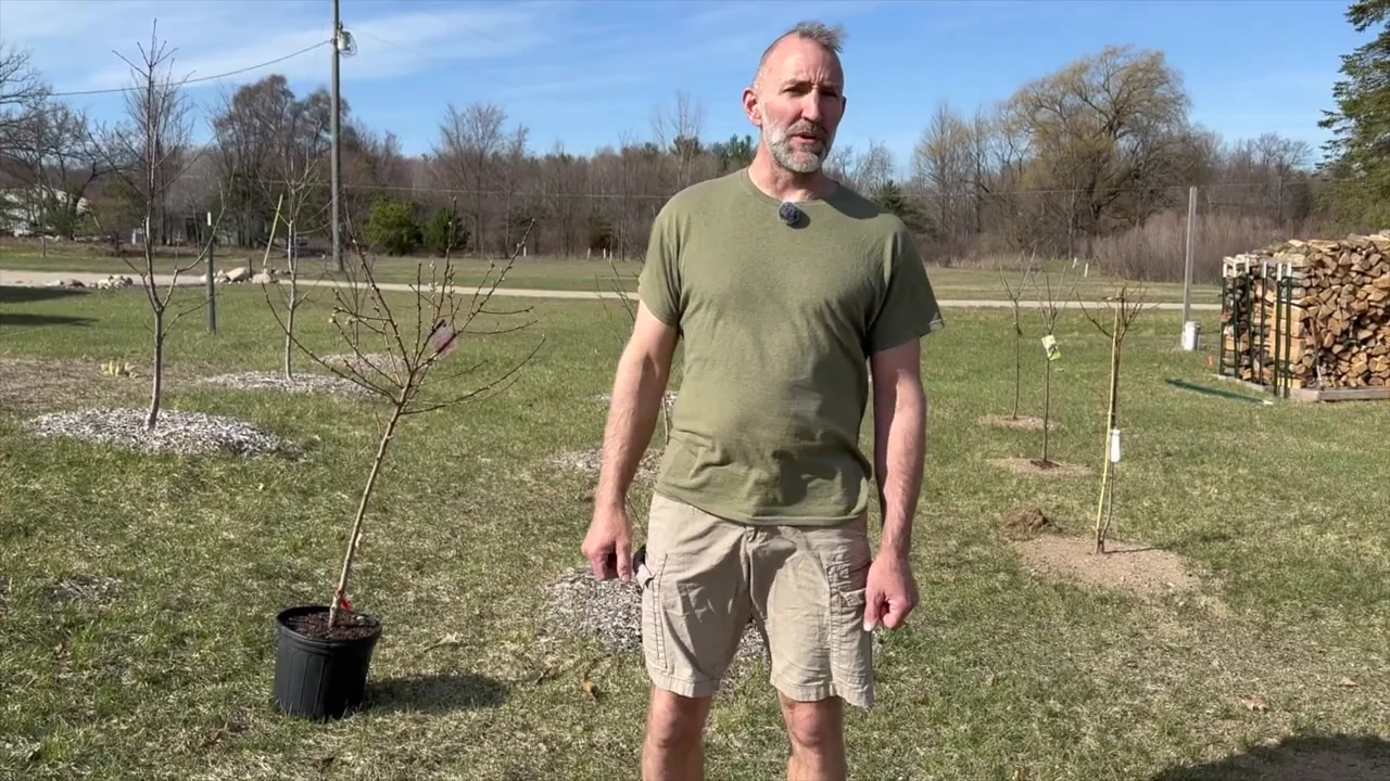 Jeremy standing beside a young potted tree in a yard.