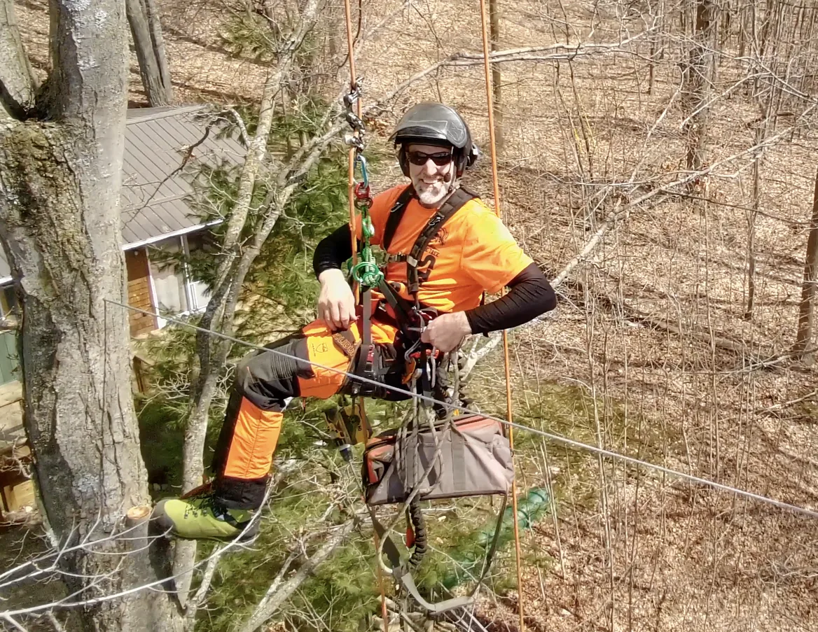 Jeremy Slot performing professional arborist work aloft