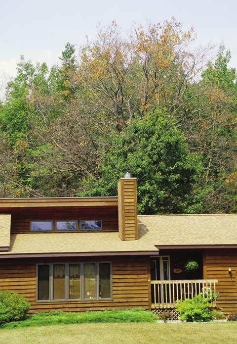 Declining oak crowns above a home, photographed for the USDA Forest Service oak wilt guide